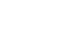 Fox Suspension