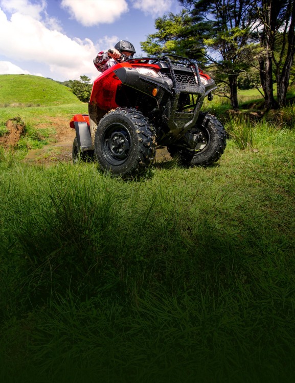 Electronic Power Steering